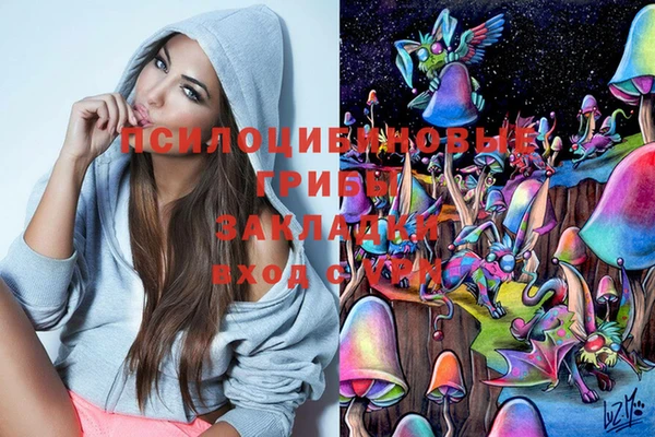 первитин Заводоуковск