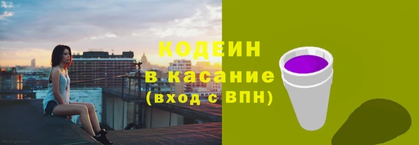 индика Бутурлиновка